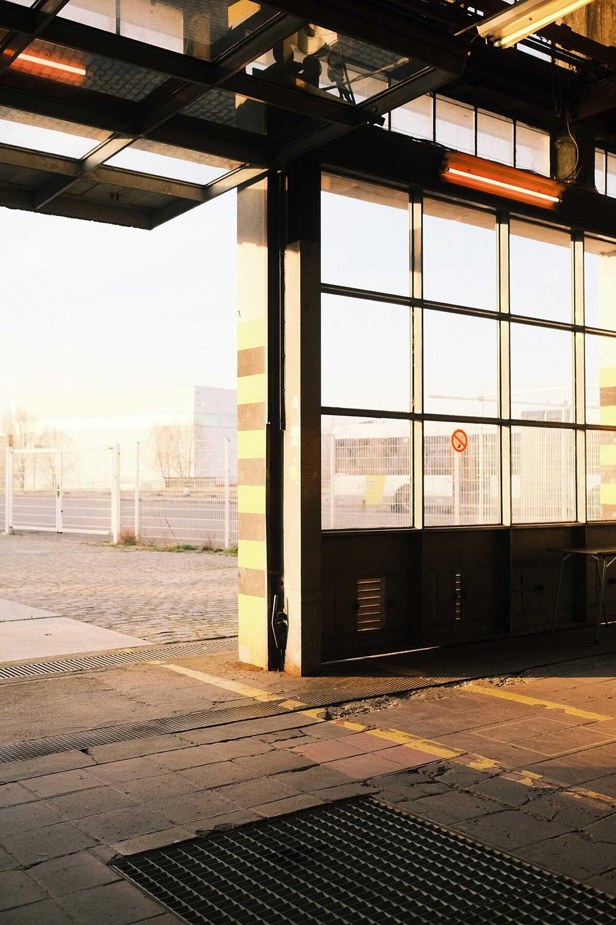 347110175 6039360129444461 1842957723100771655 n